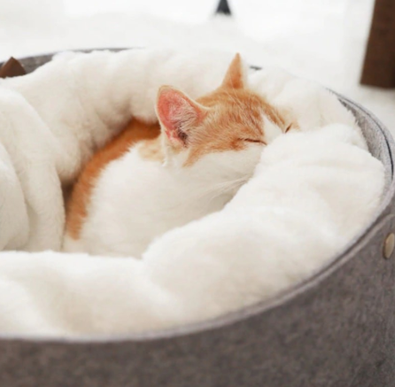 Pet Cozy Soft Bed