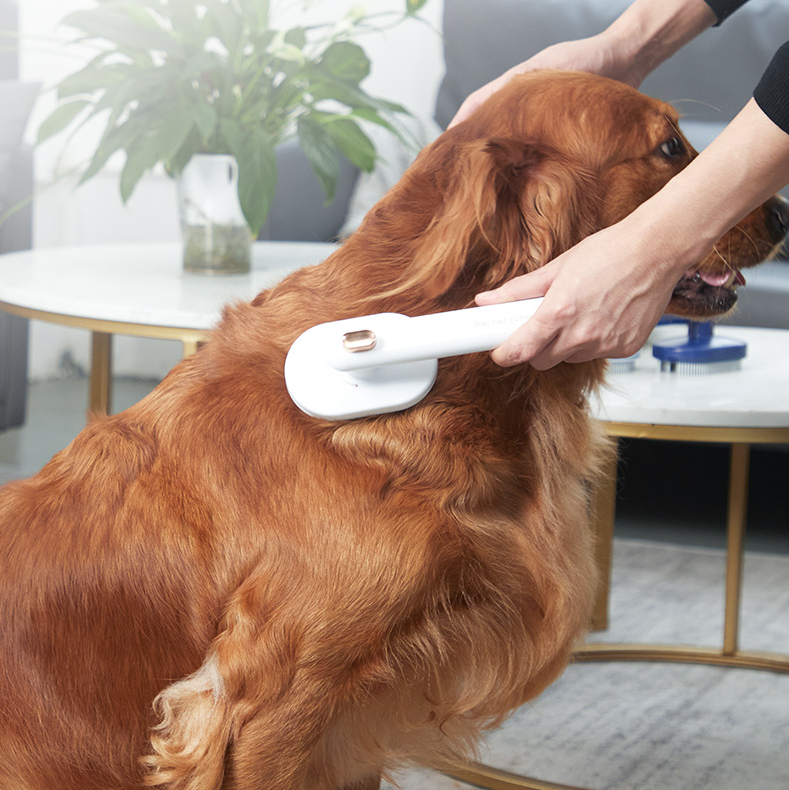 Pet Comb Cat Dog To Remove Floating Hair Pet Brush